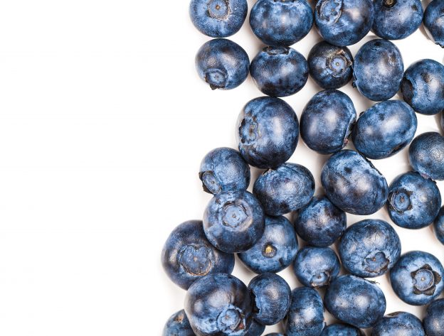 Blueberries are easy to grow