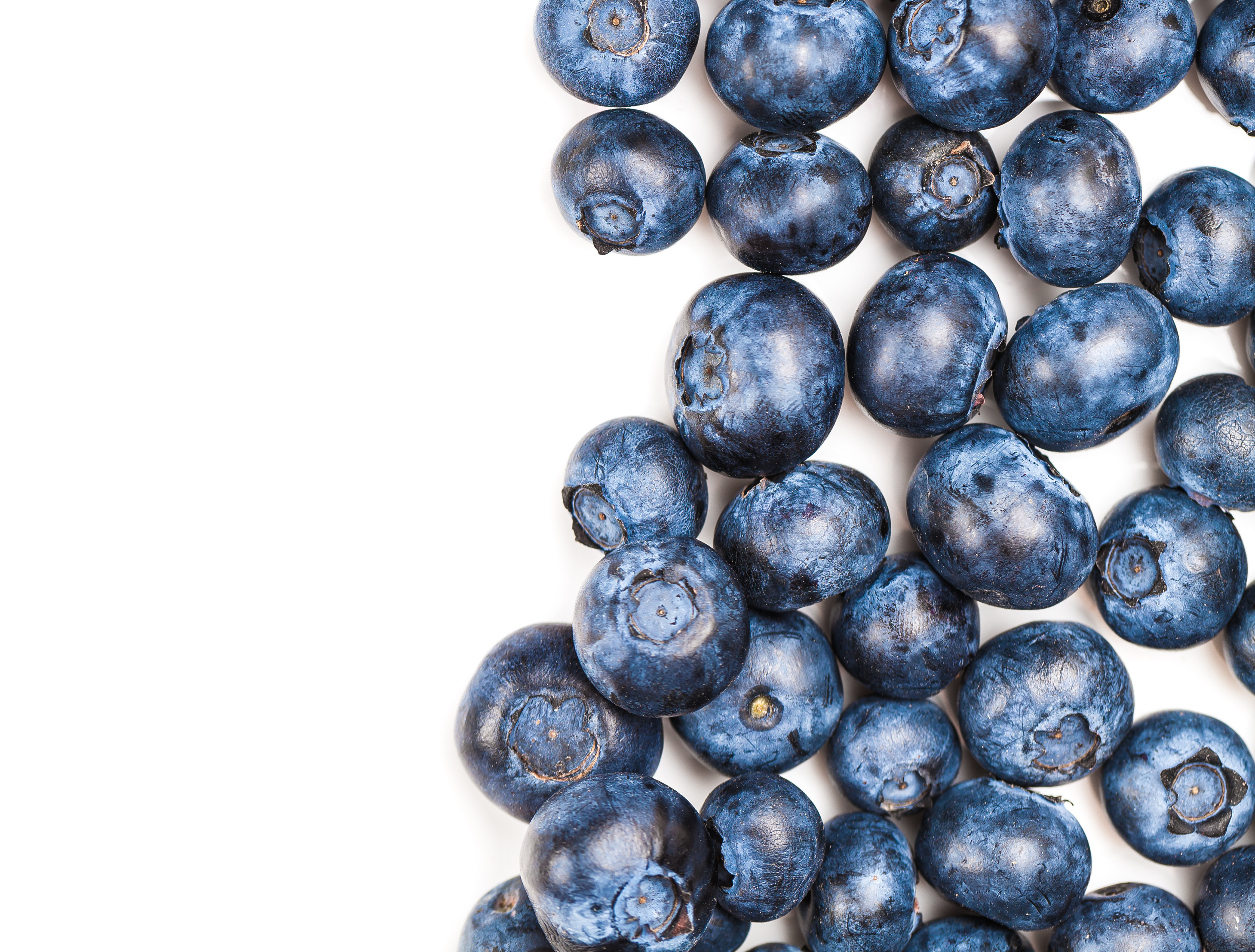Blueberries are easy to grow