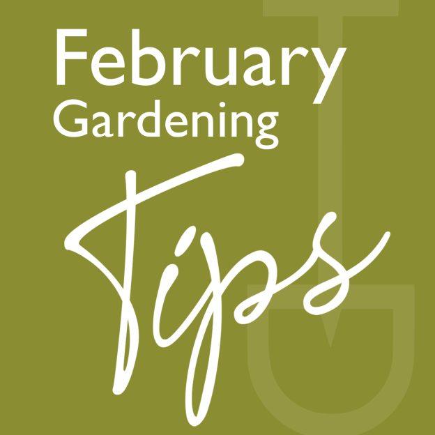 february gardening tips