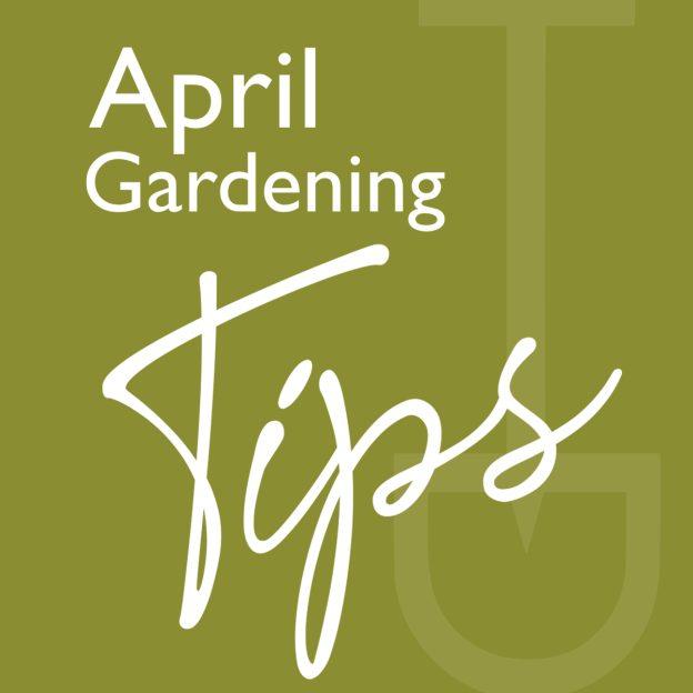 April Gardening Tips