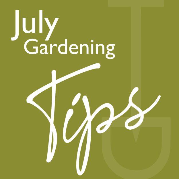 JULY GARDENING TIPS