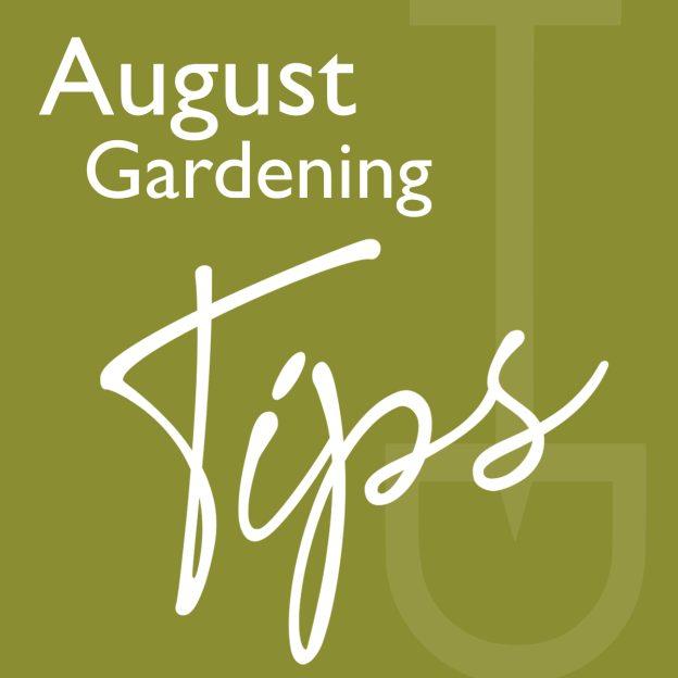 august gardening tips