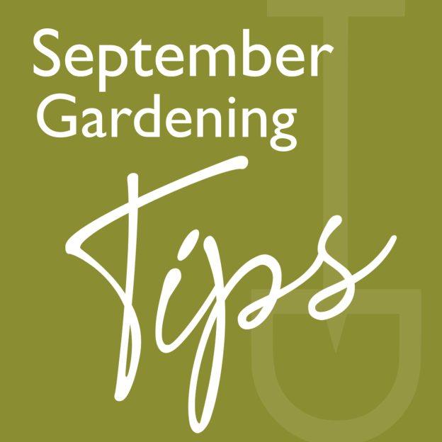september gardening tips