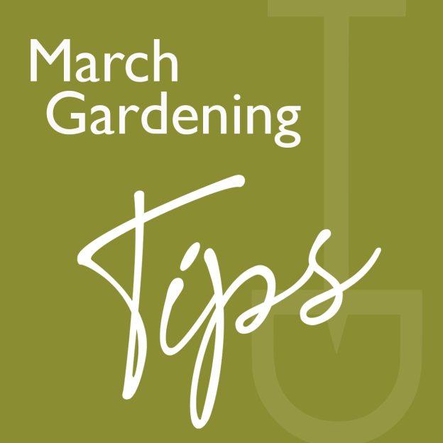 what to do garden march