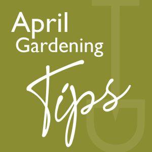 what to do garden april